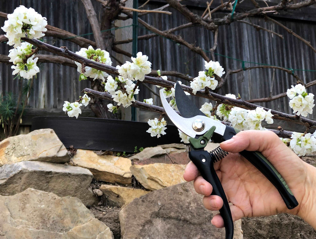 6 Stück Garten Werkzeugsatz - DT3798
