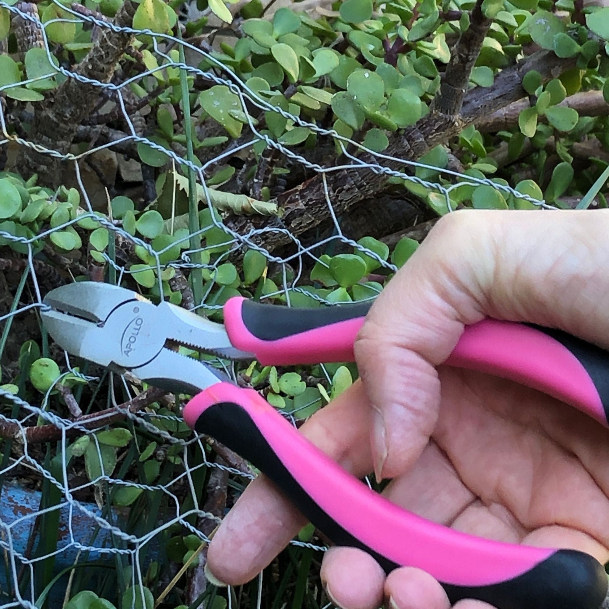 3 Zangen - Rosa - DT5008P