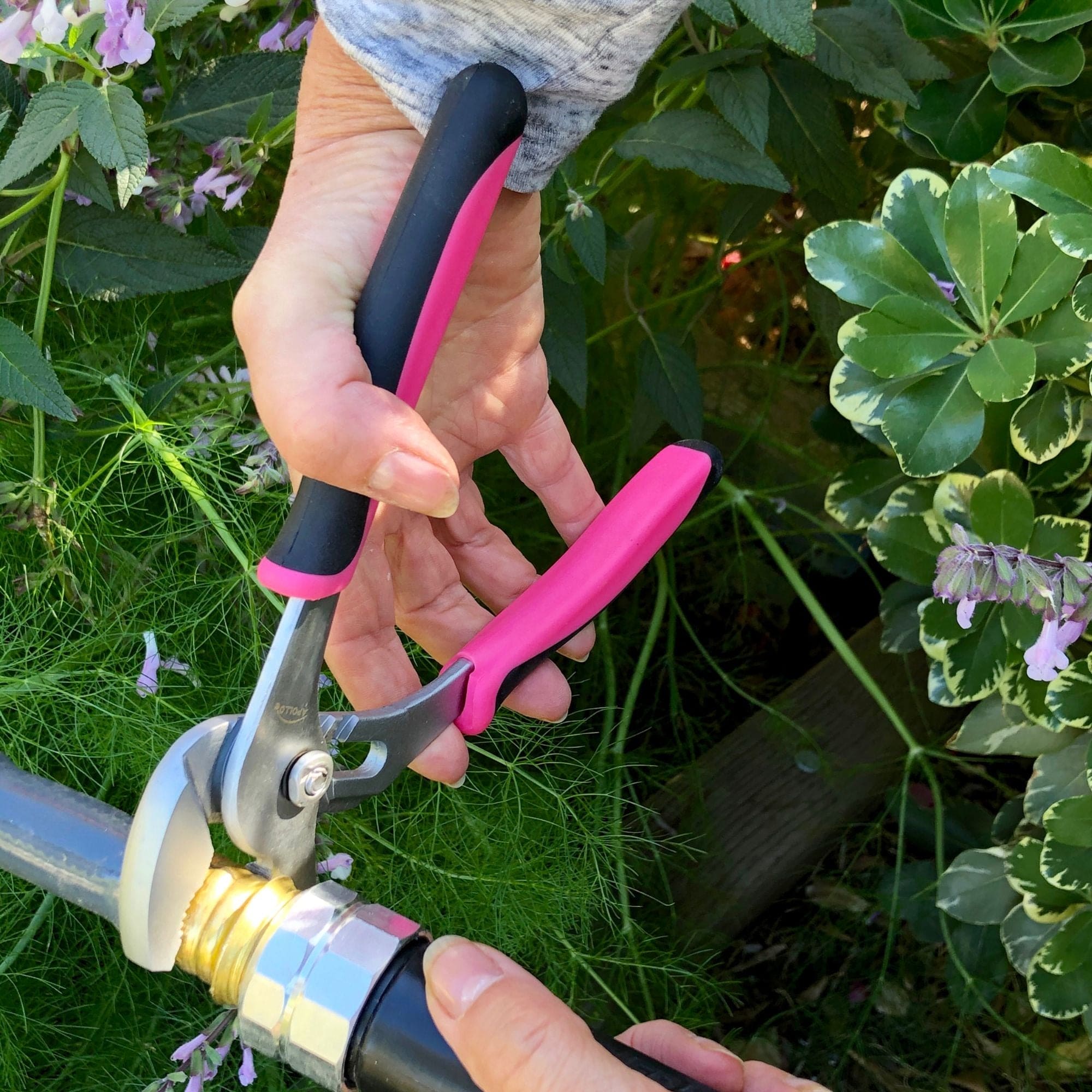3 Zangen - Rosa - DT5008P