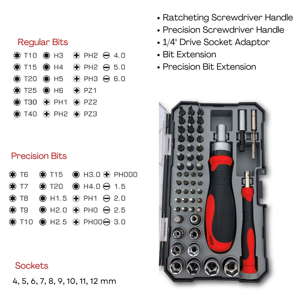 55 Stück metrisches Werkzeugset mit Ratcheting Bit Driver, Precision Bit Driver und Bit Assortment - DT5024