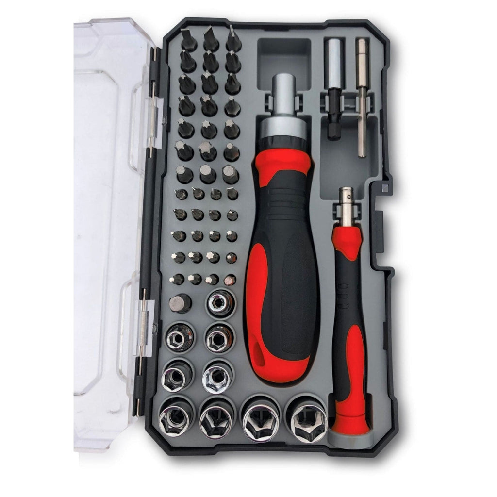 55 Stück metrisches Werkzeugset mit Ratcheting Bit Driver, Precision Bit Driver und Bit Assortment - DT5024